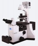 IBE2000 倒置荧光显微镜